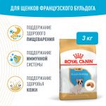 Royal Canin Французский бульдог Щенок Корм ​​сухой для щенков породы Французский Бульдог до 12 месяцев