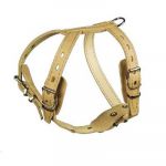 Комплект (Лаурон) шлейка + поводок (кожа)