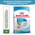 Корм Royal Canin Mini Starter сухой полнорационный для собак мелких пород (до 10 кг) в конце беременности и в период лактации, а также для кормов в период отъема от матери и до 2-х месячного возраста.  3 кг