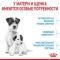 Корм Royal Canin Mini Starter сухой полнорационный для собак мелких пород (до 10 кг) в конце беременности и в период лактации, а также для кормов в период отъема от матери и до 2-х месячного возраста.  8,5 кг