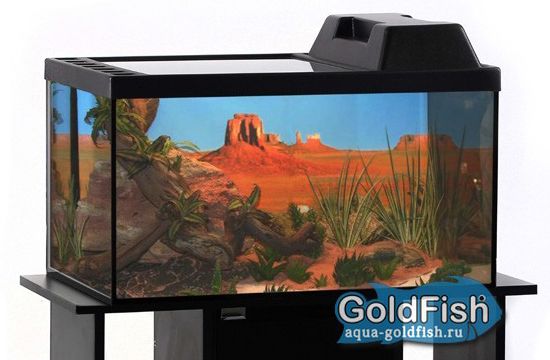 Террариум Голдфиш 40л (53*31*25,8) с черной крышкой и диод.лампой Тер40F Е14 чер