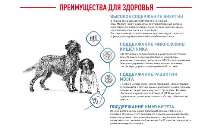 Royal Canin Medium Puppy Корм ​​сухой для щенков средних размеров до 12 месяцев 3 кг
