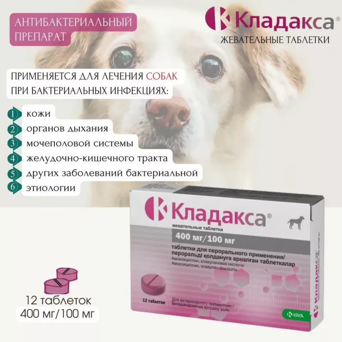 Рикарфа (KRKA) 100мг (20таб) противовоспалительное, обезболивающее для суставов для собак со вкусом мяса (ЛИЦЕНЗИЯ)