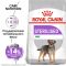 Корм Royal Canin Mini Sterilized сухой для взрослых стерилизованных собак небольших размеров, наклонных к набору веса