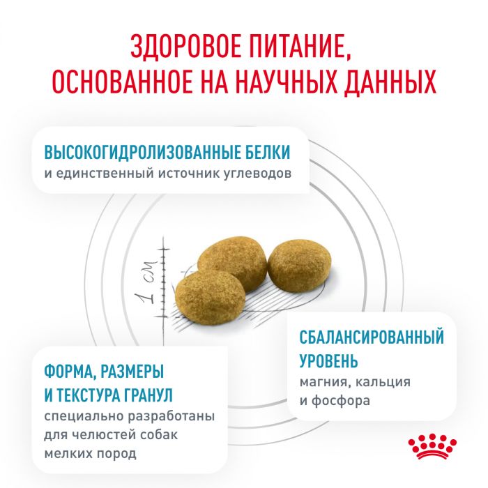 Royal Canin HYPOALLERGENIC SMALL DOG ​​(ГИПОАЛЛЕРДЖЕНИК СМОЛ ДОГ) для взрослых собак весом до 10 кг, применяется при пищевой непереносимости или непереносимости пищевых продуктов. Ветеринарная диета.