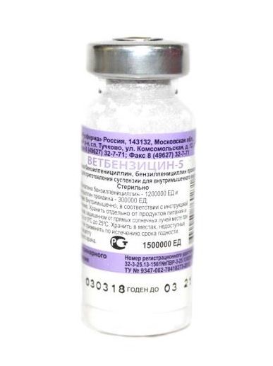 Ветбензицин-5 1500 000ЕД антибактериальный порошок для приготовления суспензии для инъекций 50фл (упаковка) (ЛИЦЕНЗИЯ)