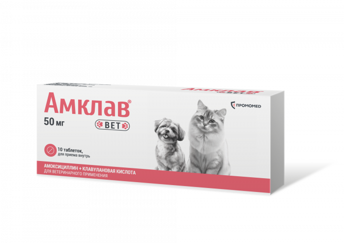 Амклав Вет таблетки  50 мг 10таб (стрип) (ЛИЦЕНЗИЯ)