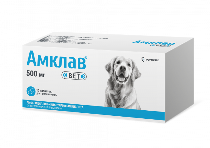 Амклав Вет таблетки  500 мг 10таб (стрип) (ЛИЦЕНЗИЯ)