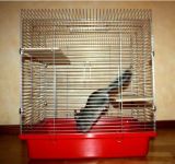 Клетка (ЗооЛайф)  56*50*66 см складная для шиншилл