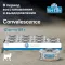 Farmina (Фармина) Vet Life Cat Convalescence 0,085кг паштет (102840)