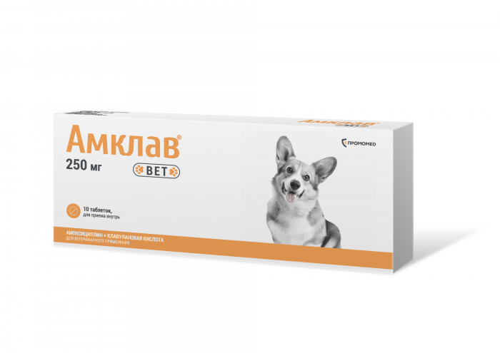 Амклав Вет таблетки  250 мг 10таб (стрип) (ЛИЦЕНЗИЯ)