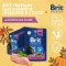 Brit Premium 0,085кг цыпленок и индейка в соусе пауч для кошек (48823)