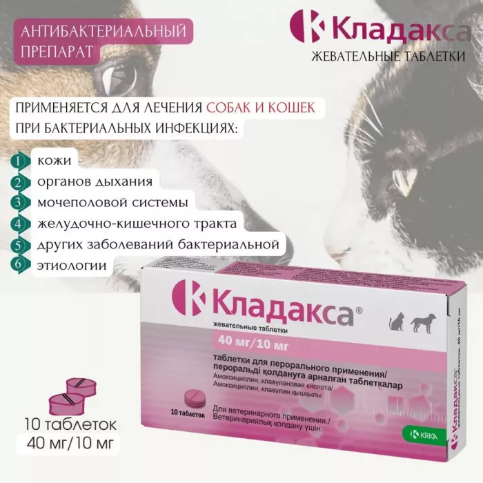 Рикарфа (KRKA) 100мг (20таб) противовоспалительное, обезболивающее для суставов для собак со вкусом мяса (ЛИЦЕНЗИЯ)