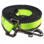 Поводок (PerseiLine) LOOK нейлон светоотражающий 15' 2м салатовый