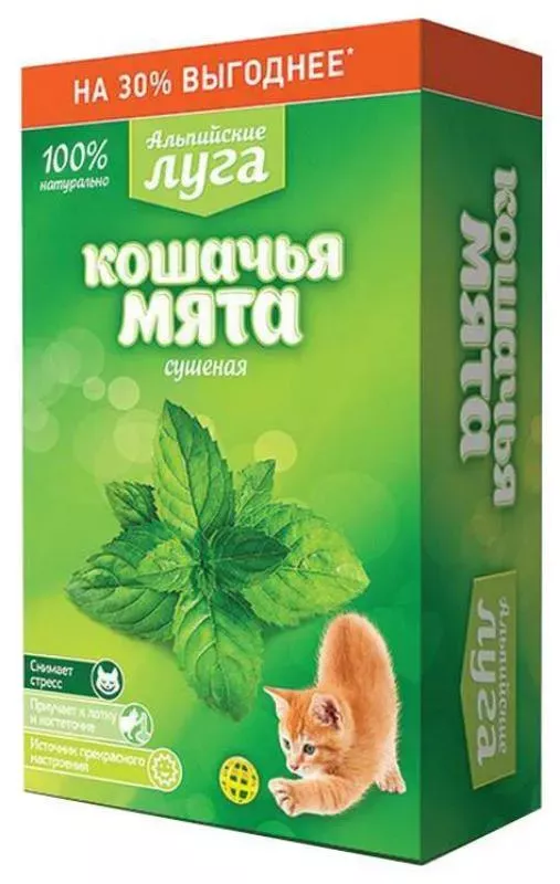 Альпийские луга кошачья сушеная мята (35)