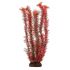 Растение (Laguna) 2955 пластик 29см  Амбулия красная +