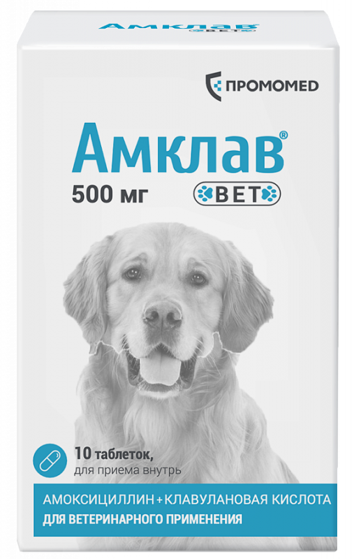 Амклав Вет таблетки  500 мг 10таб (банка) (ЛИЦЕНЗИЯ)