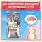 ZILLII (Зилли) Cat Urinary Care 10кг индейка сухой для домашних кошек (352239)