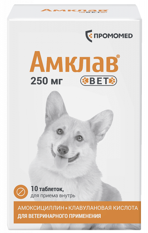 Амклав Вет таблетки  250 мг 10таб (банка) (ЛИЦЕНЗИЯ)
