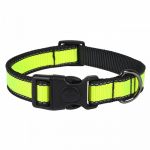 Ошейник (PerseiLine) LOOK нейлон фиксатор светоотражающий 25' 40-65 см салатовый XL