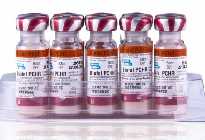 БИОФЕЛ РCHR (ЛИЦЕНЗИЯ)