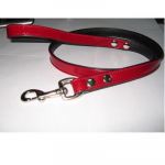 Поводок (Zoo-M) DA120021  Классика 20мм*1.2м стальной карабин